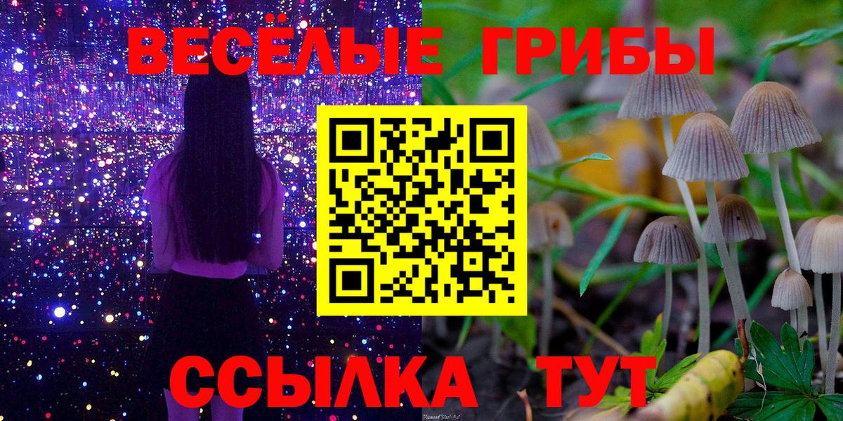 Псилоцибиновые грибы MAGIC MUSHROOMS  Вход с VPN  Обнинск 